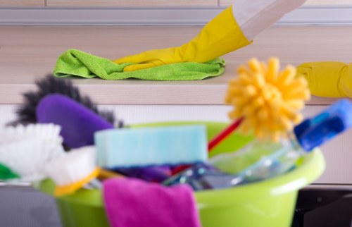 Professional carpet cleaner in W4 treating a living room carpet