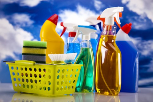 Professional home cleaners in W4 servicing a modern London household