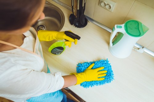 Deep carpet cleaning equipment in a W4 home
