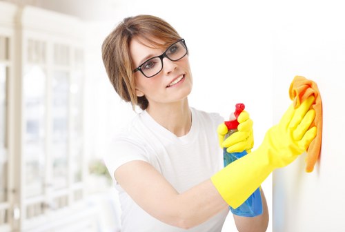 Household cleaning in W4 with flexible routine support