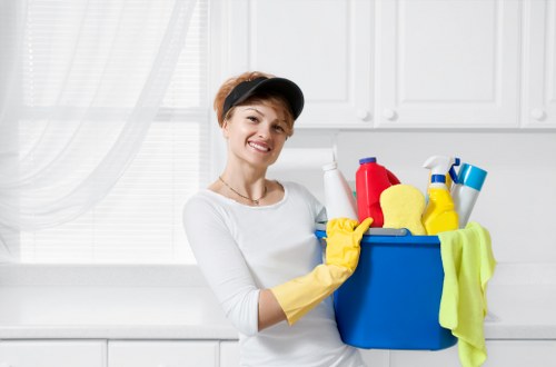 Deep carpet cleaning equipment used by a carpet cleaner W4