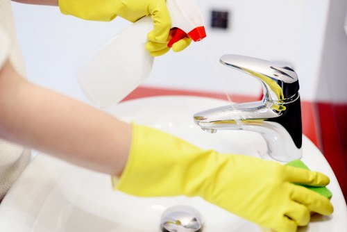 Professional domestic cleaning in W4 for kitchen and bathroom hygiene