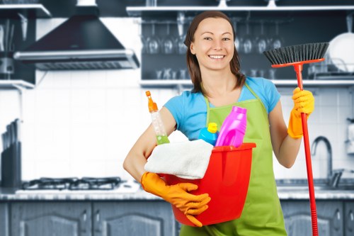 Professional cleaners in W4 providing domestic cleaning in a modern West London home