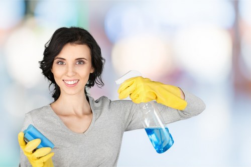 Domestic cleaning service in W4 for kitchens and living spaces