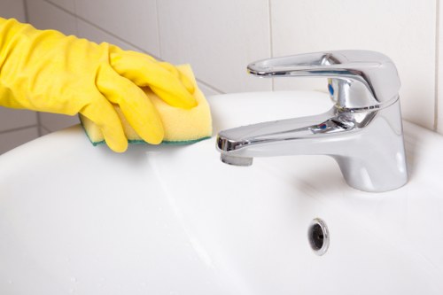 One off cleaning in W4 focused on detailed bathroom sanitising
