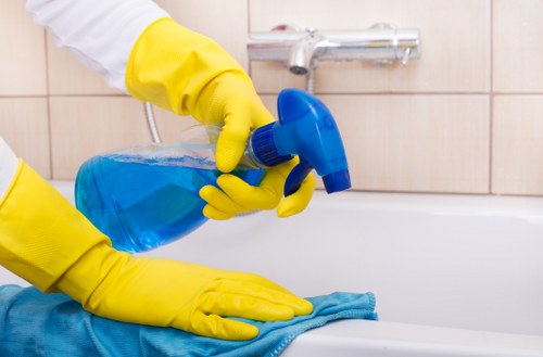 Reliable cleaner in W4 for spotless interiors