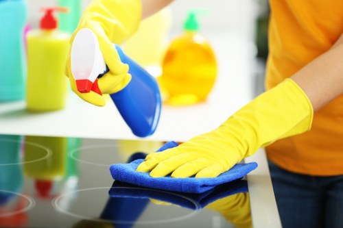 Carpet cleaning team managing service responsibilities and safety