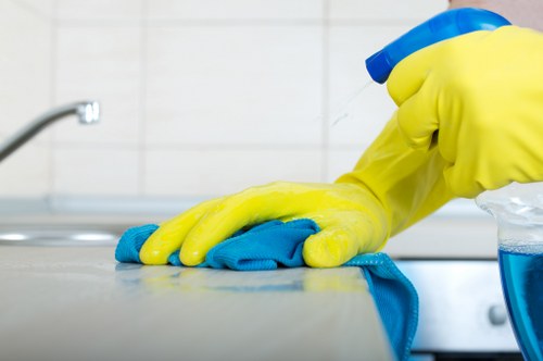 Detailed carpet care approach for homes and businesses in W4