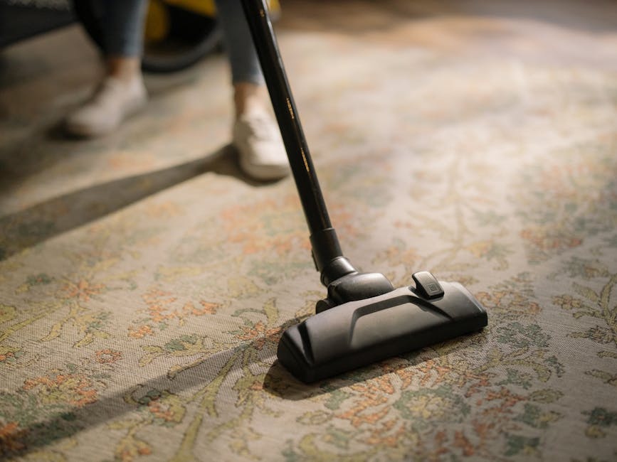 A person wearing a red long-sleeve shirt, green pants, and red socks is conducting surface cleaning on a beige woven rug laid over a polished dark wooden floor in a residential living room. They are h
